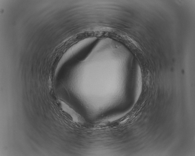 X0000067920821200605041707
