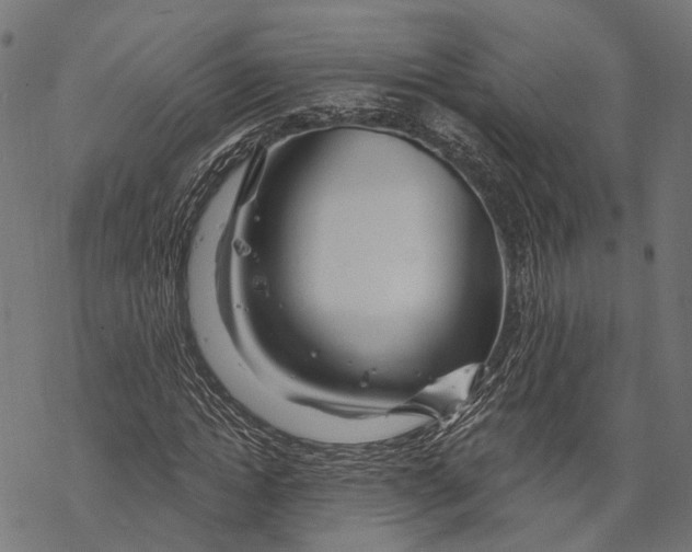 X0000067920822200605041707