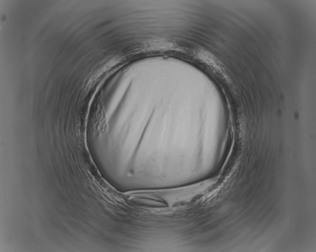 X0000067920825200605041707