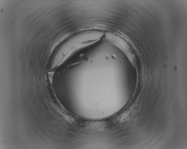 X0000067920826200605041707