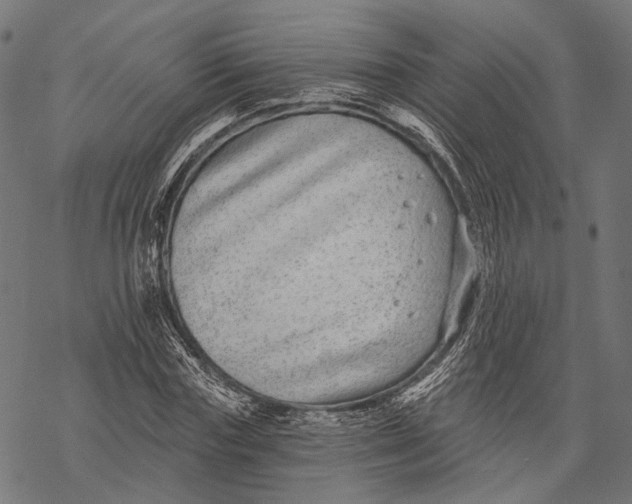 X0000067920827200605041707