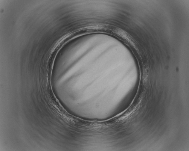 X0000067920829200605041707