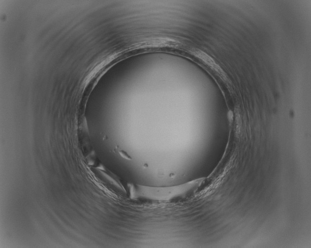 X0000067920834200605041707