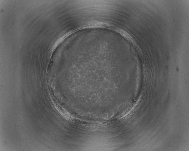 X0000067920842200605041707