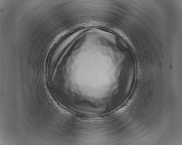 X0000067920845200605041707