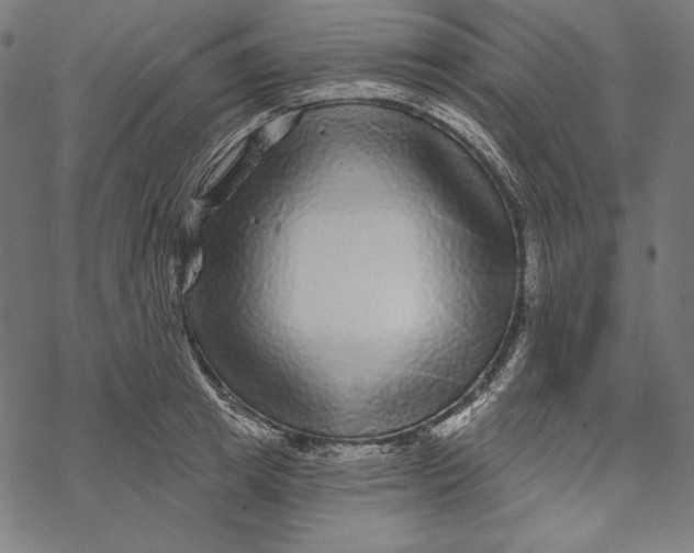 X0000067920849200605041707