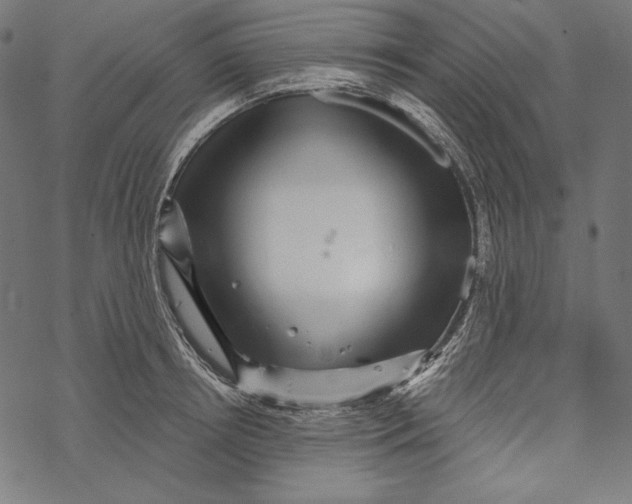 X0000067920850200605041707