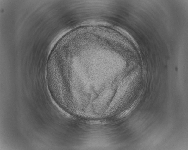 X0000067920855200605041707