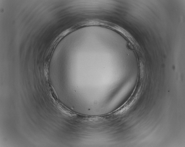 X0000067920857200605041707