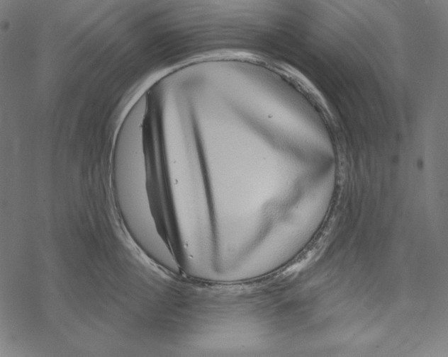 X0000067920860200605041707