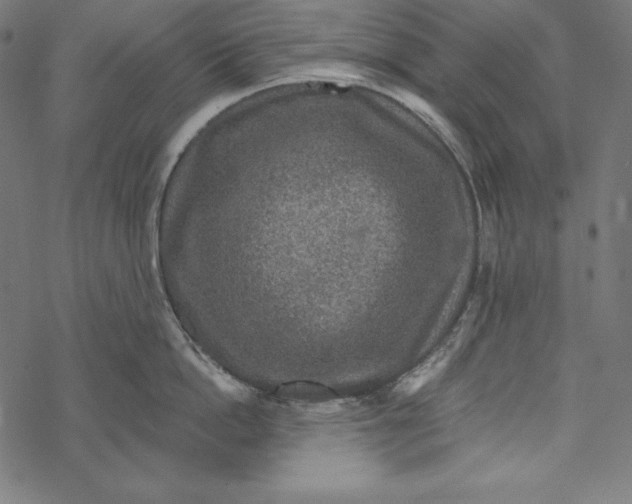 X0000067920862200605041707