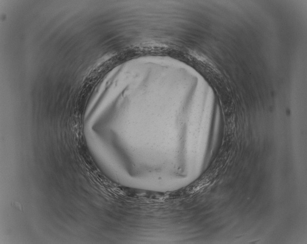 X0000067920870200605041706