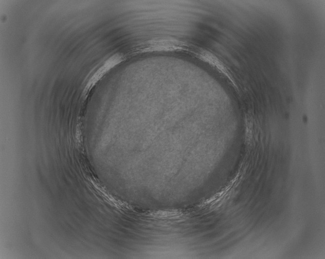 X0000067920874200605041706
