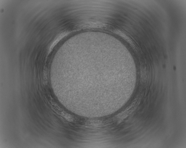 X0000067920878200605041706