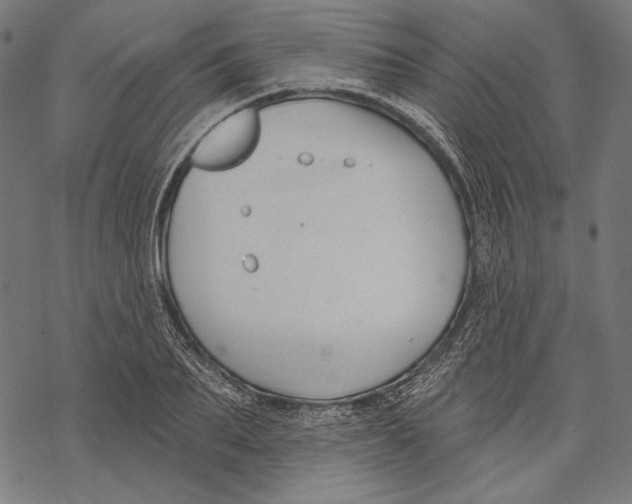 X0000067920887200605041706