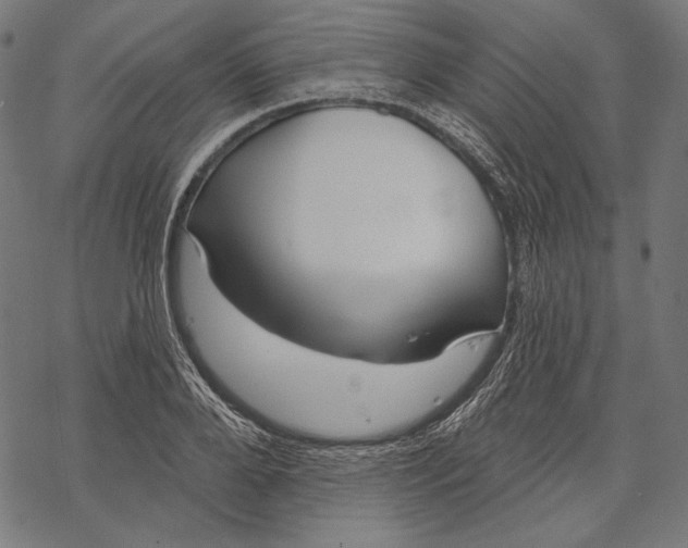 X0000067920888200605041706