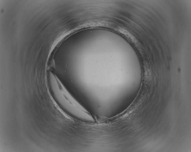 X0000067920894200605041706
