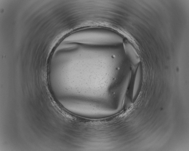 X0000067920896200605041706