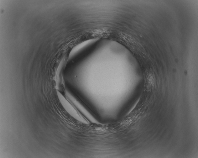 X0000067920914200605041705