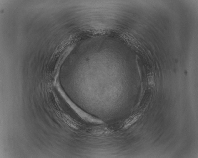 X0000067920916200605041705