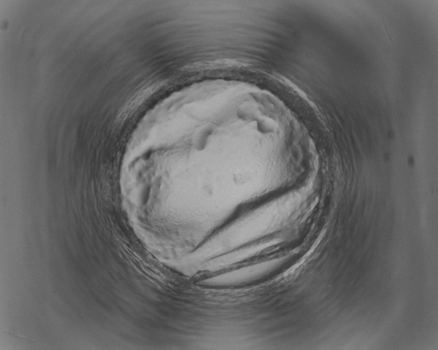X0000067920921200605041705