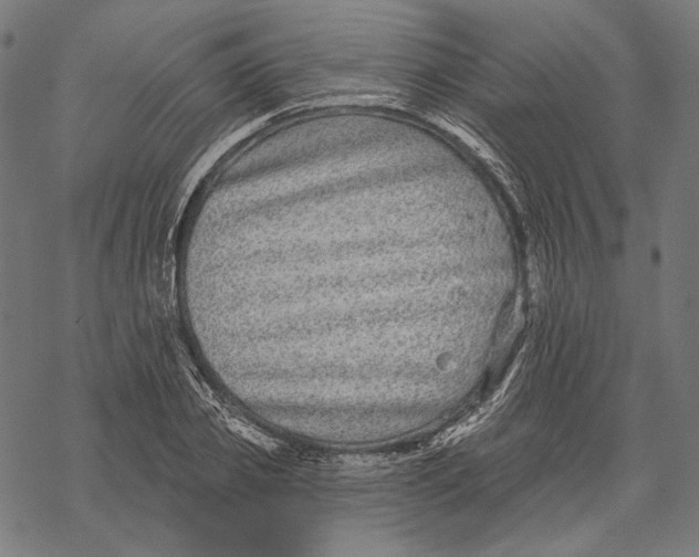 X0000067920933200605041705