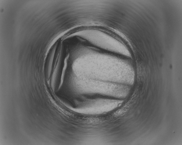 X0000067920935200605041705