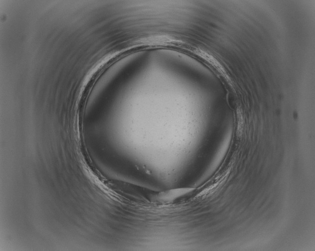 X0000067920939200605041705