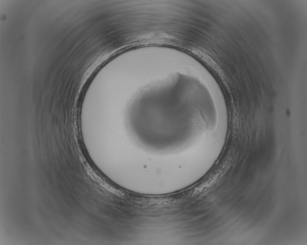 X0000067920941200605041705