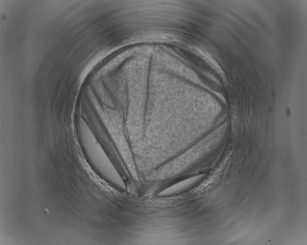 X0000067920944200605041705