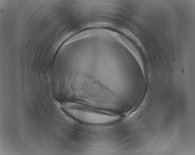 X0000067920945200605041705