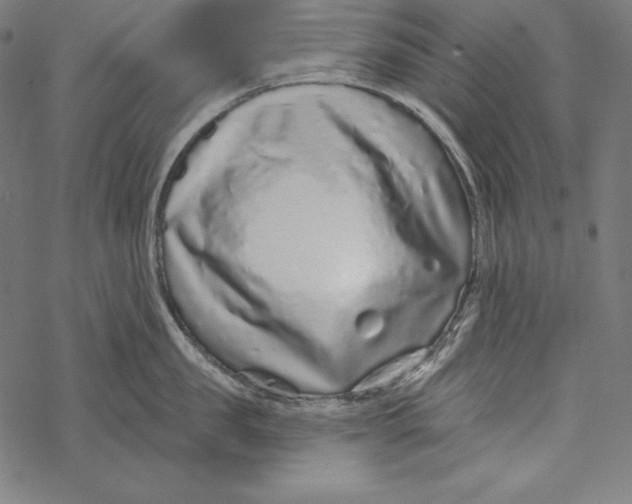 X0000067920957200605041706