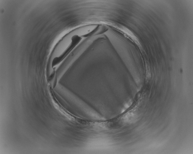 X0000067920958200605041706