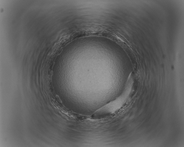 X0000067920961200605041705