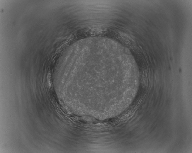 X0000067920962200605041705