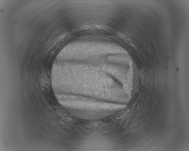 X0000067920966200605041705