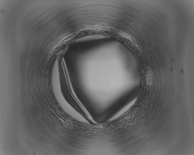 X0000067920968200605041705