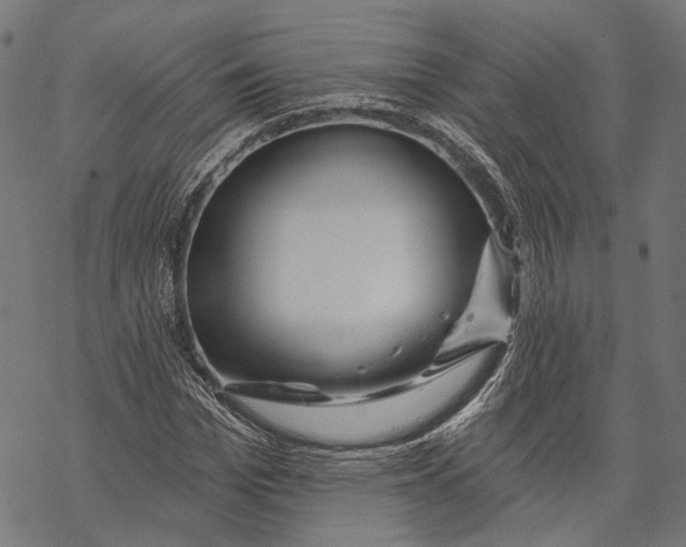 X0000067920969200605041705