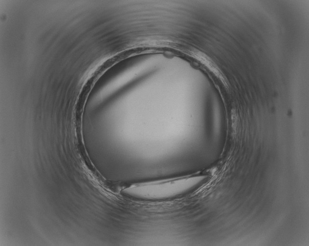 X0000067920972200605041705