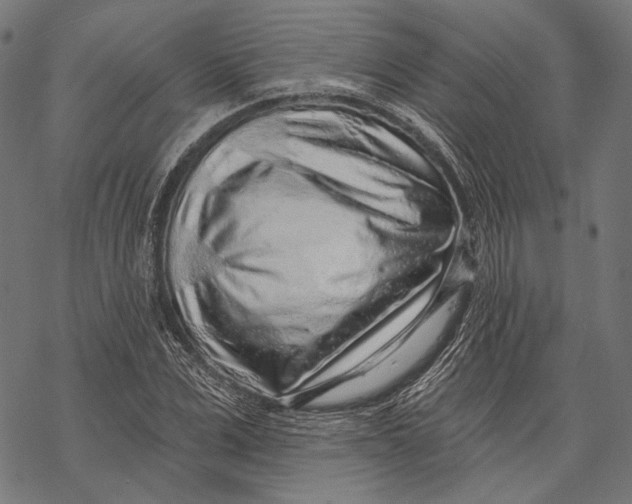 X0000067920975200605041705