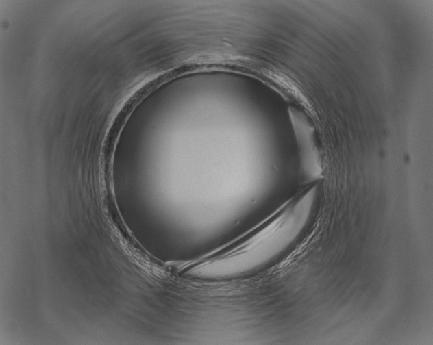 X0000067920976200605041705