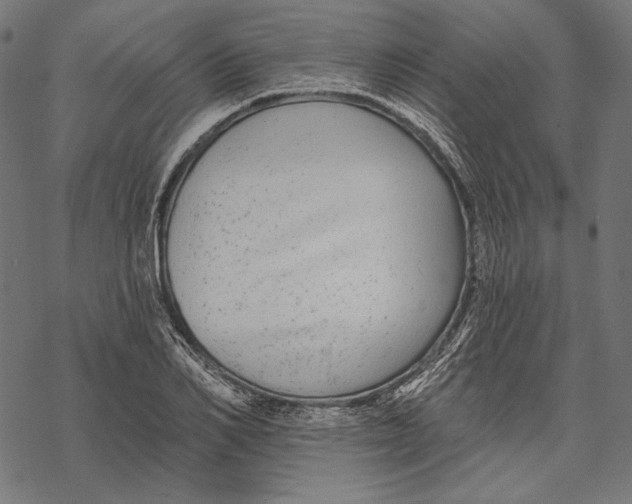 X0000067920982200605041705