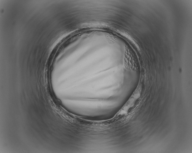 X0000067920983200605041705