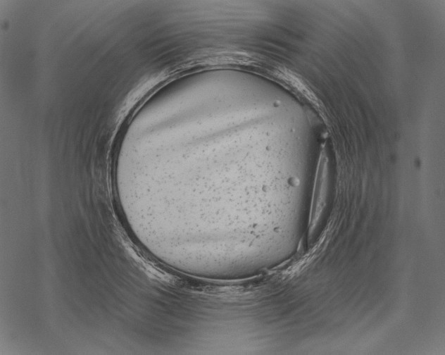 X0000067920986200605041705