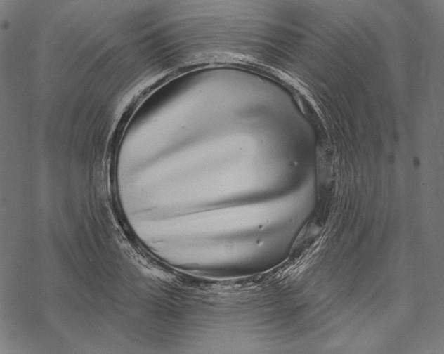 X0000067920987200605041704