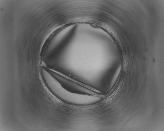 X0000067920992200605041704