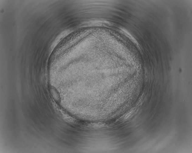 X0000067920994200605041704