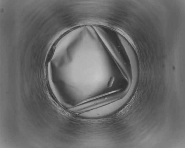 X0000067920996200605041704
