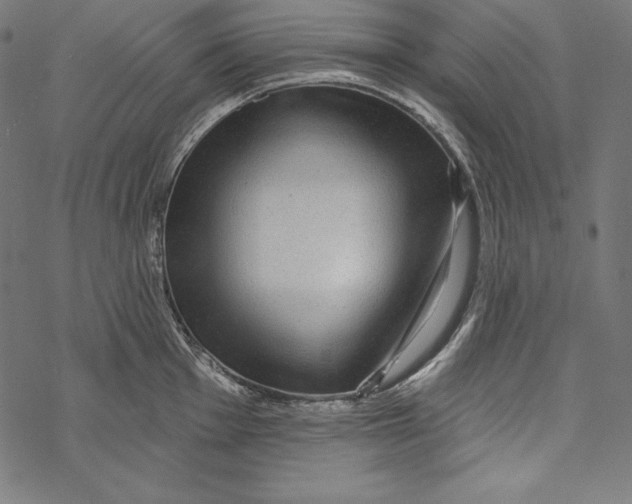 X0000067921001200605041704