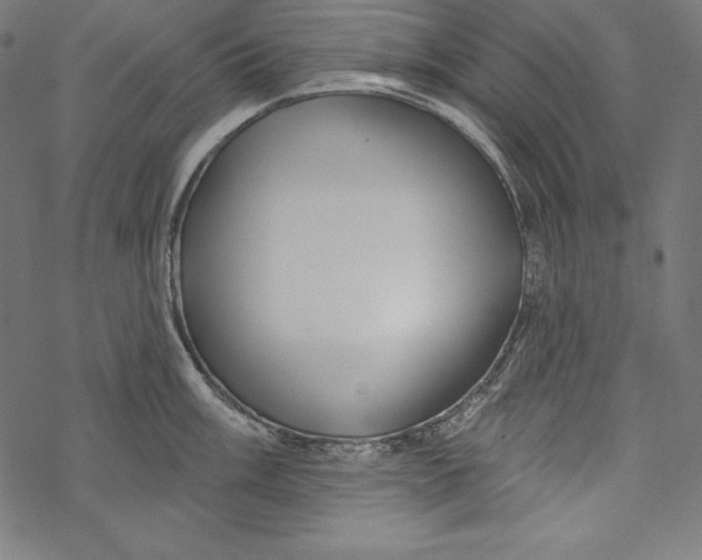 X0000067921003200605041704